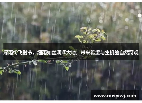 绿雨纷飞时节，细雨如丝润泽大地，带来希望与生机的自然奇观