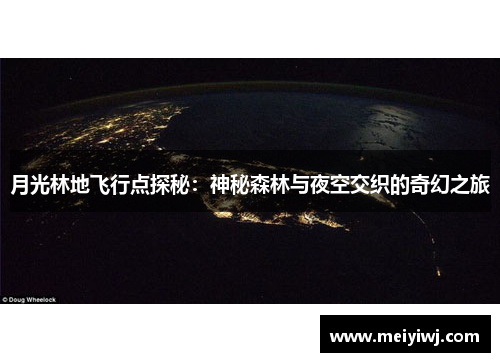 月光林地飞行点探秘：神秘森林与夜空交织的奇幻之旅
